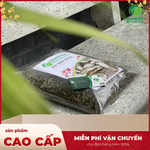 Giải đáp các câu hỏi thường gặp về vị đắng và cách dùng cây thần thông