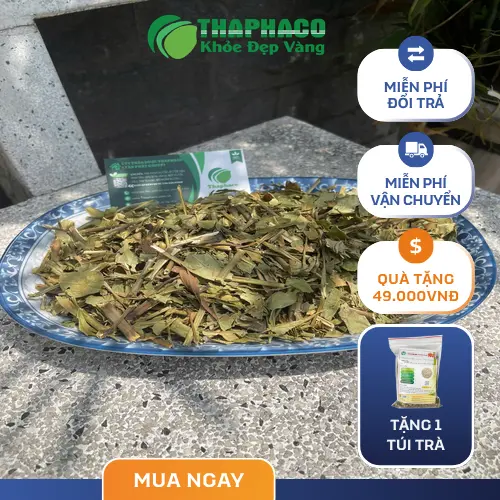 Hướng dẫn sử dụng Lá Hoàn Ngọc khô THAPHACO
