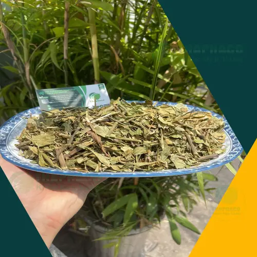 Giải đáp các câu hỏi thường gặp về Lá Hoàn Ngọc khô THAPHACO