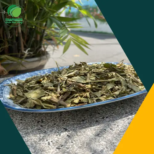 Kết luận về bảo quản Hoàn Ngọc khô