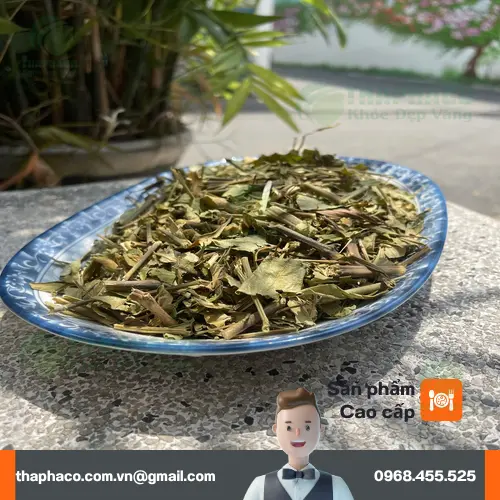 Hoàn Ngọc tại THAPHACO