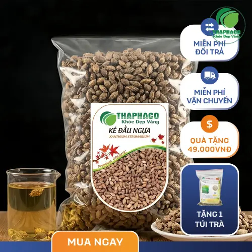 Thương Nhĩ Tử khô chất lượng tại Thaphaco