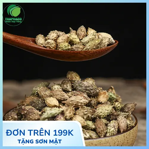 Công dụng hỗ trợ của Thương Nhĩ Tử khô