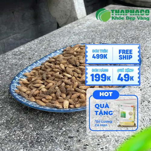 Thương Nhĩ Tử khô Thaphaco giá tốt