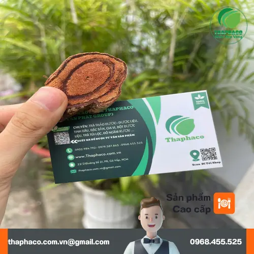 Hình ảnh Kê Huyết Đằng chất lượng tại THAPHACO