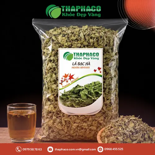 Lá bạc hà tươi