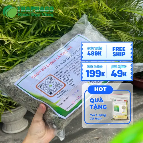 Quy trình sản xuất bạc hà sấy khô đảm bảo vệ sinh tại THAPHACO