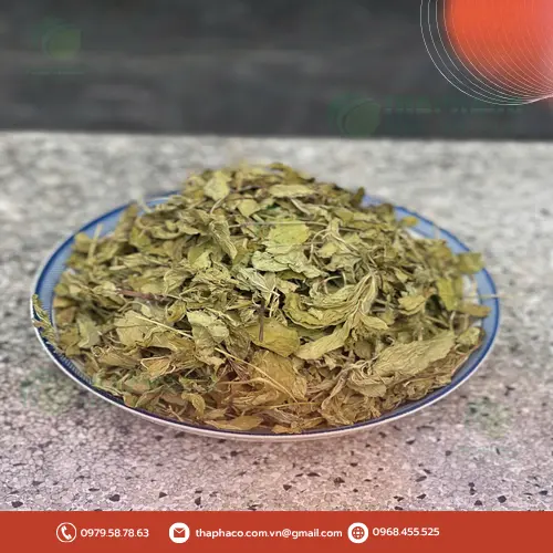 Cách pha trà bạc hà khô thơm ngon tại nhà