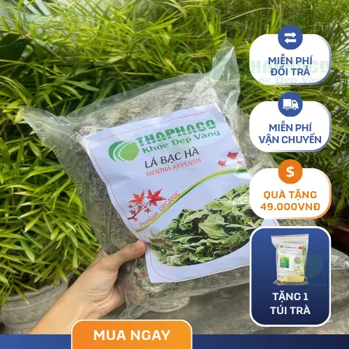 Quy trình pha trà bạc hà cho trẻ em