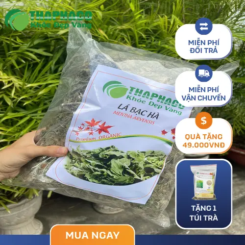 Phân biệt lá bạc hà khô và tinh dầu bạc hà