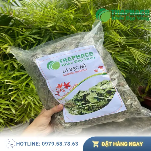 Liên hệ THAPHACO để mua bạc hà khô uy tín tại TP.HCM