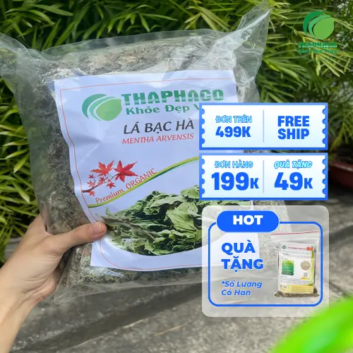 Lá bạc hà khô chất lượng