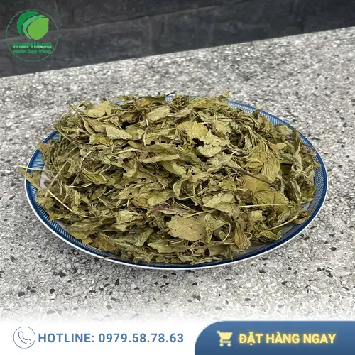 Lá bạc hà khô chất lượng tại THAPHACO