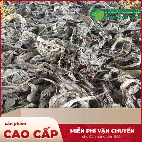 Cách hãm trà lá khôi tía