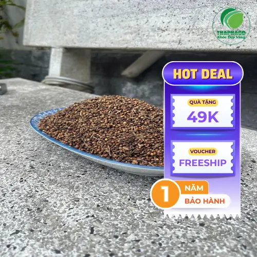 Sản phẩm Nụ Vối Khô THAPHACO chất lượng cao