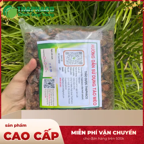 Hình ảnh minh họa các công dụng của táo mèo đối với sức khỏe
