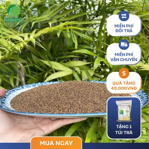 Phụ nữ mang thai không nên dùng Thỏ Ty Tử