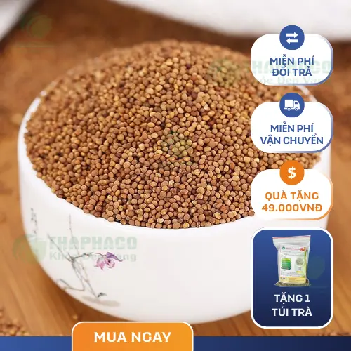 Hạt Thỏ Ty Tử khô