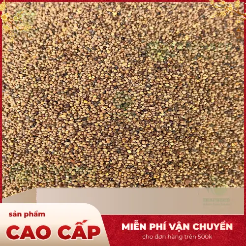 Tương tác thuốc khi dùng Thỏ Ty Tử