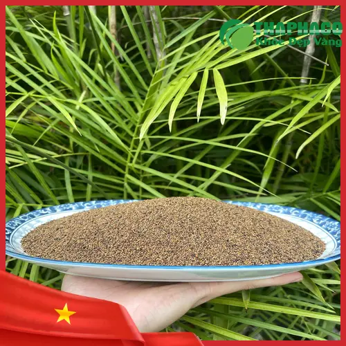 Cách dùng Thỏ Ty Tử sấy khô hiệu quả