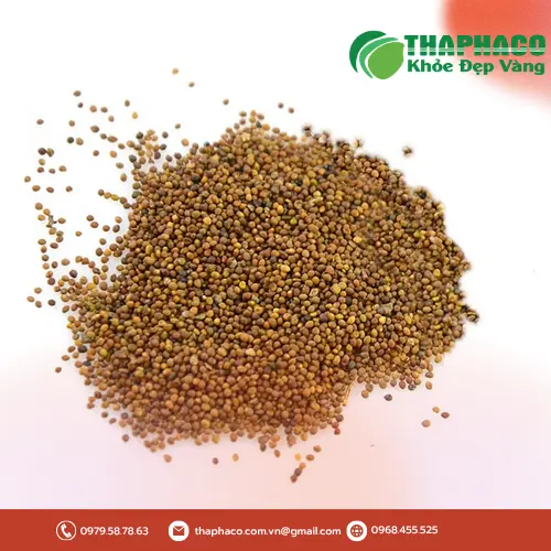 Lưu ý khi sử dụng Thỏ Ty Tử an toàn