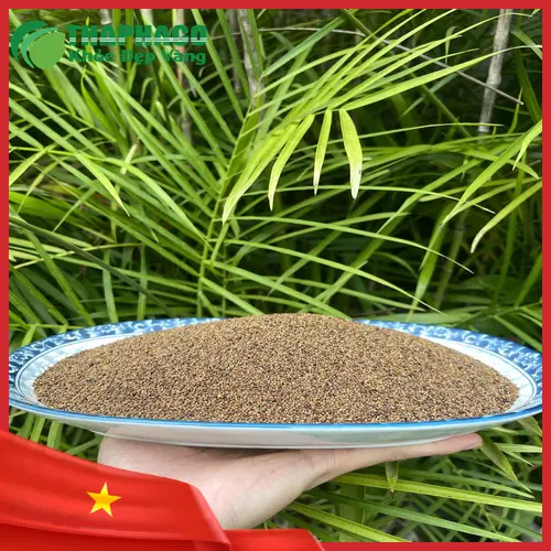 Tham khảo ý kiến chuyên gia trước khi dùng Thỏ Ty Tử