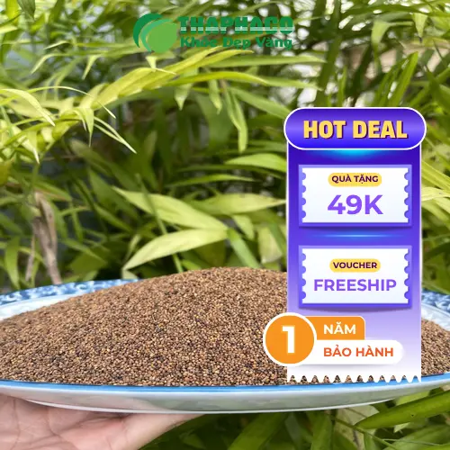 Địa chỉ mua Thỏ Ty Tử uy tín THAPHACO