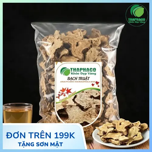 Bạch Truật là dược liệu quý trong Y học cổ truyền