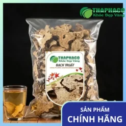 Địa Chỉ Bán Bạch Truật Khô Tại TP.HCM – Uy Tín, Chất Lượng