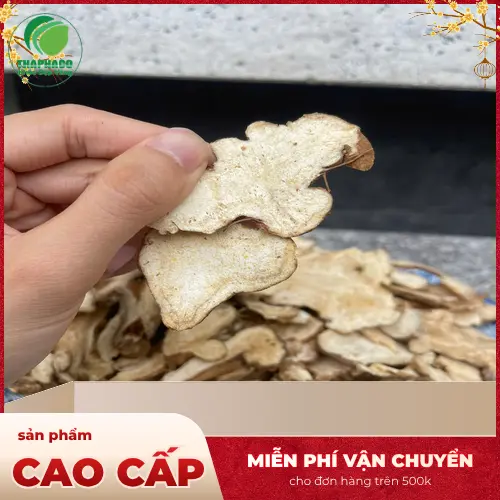 Phụ nữ mang thai không tự ý dùng Bạch Truật