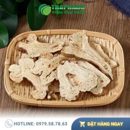 Thapaco cam kết chất lượng Bạch Truật khô