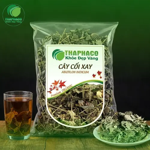 Cây cối xay là gì? Đặc điểm và phân bố của cây cối xay
