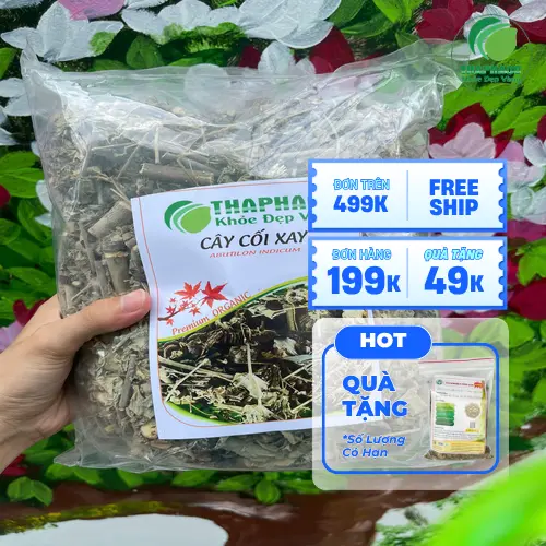 Uống trà cây cối xay giúp thanh nhiệt giải độc