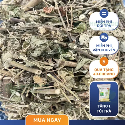 Cây cối xay hỗ trợ giảm ho đờm và cảm sốt nhẹ