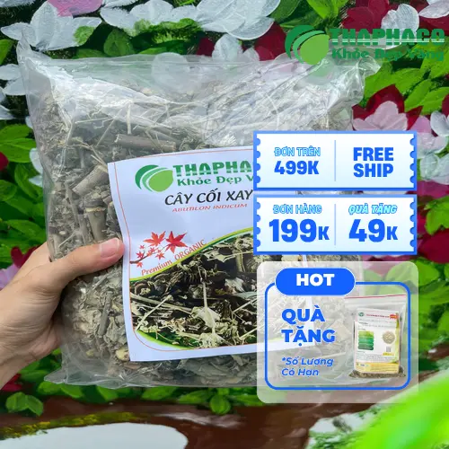 Các công dụng hỗ trợ khác của cây cối xay