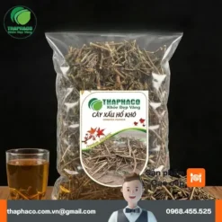 Địa Chỉ Bán Cây Xấu Hổ Khô Uy Tín Tại TP.HCM