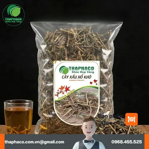 Cây xấu hổ khô THAPHACO - Nguồn gốc tự nhiên