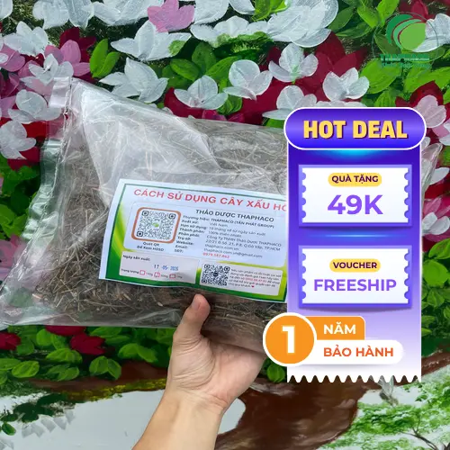 Cây xấu hổ khô chất lượng - Khô sạch, ít tạp chất