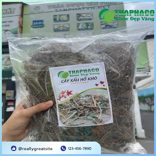 Mua cây xấu hổ khô tại THAPHACO TP.HCM