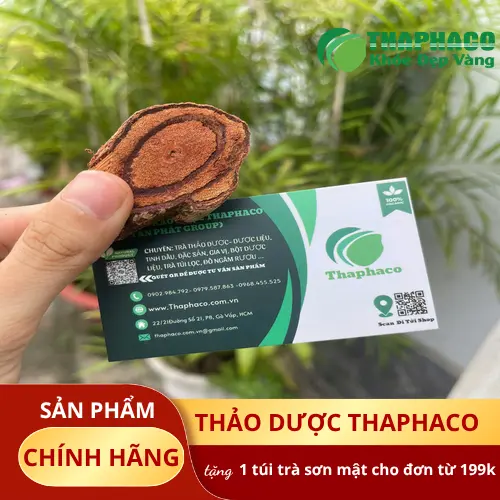 Lát cắt Kê Huyết Đằng khô với màu đỏ đặc trưng