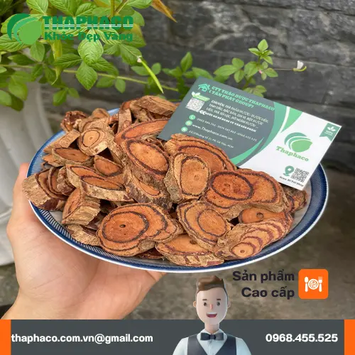 Kê Huyết Đằng khô chất lượng tại THAPHACO