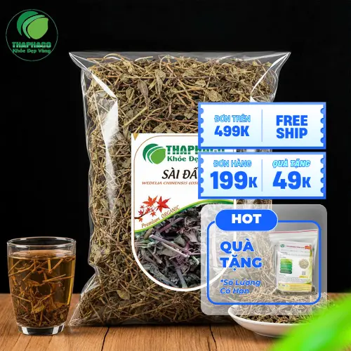 Hình ảnh cây sài đất khô tự nhiên
