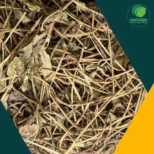 Nước sài đất đã nấu và được lọc sạch bã