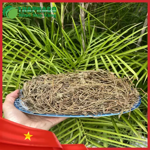 Tắm sài đất cho trẻ nhỏ cần hết sức cẩn trọng