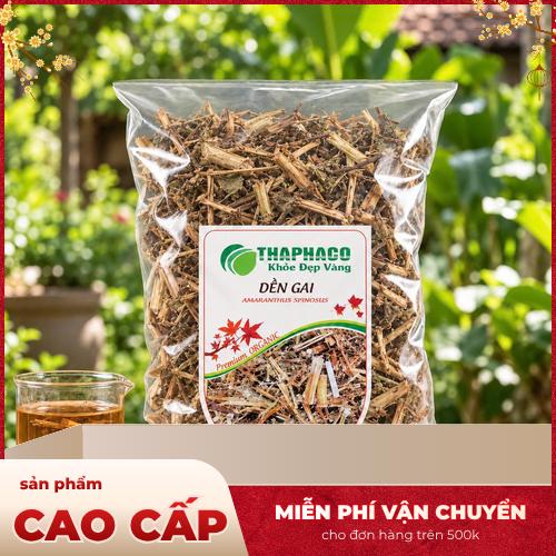Đặc điểm hình thái cây dền gai tự nhiên