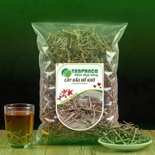 Tổng quan về cây xấu hổ và những lưu ý quan trọng khi sử dụng
