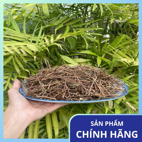 Không dùng cây xấu hổ thay thế thuốc điều trị bệnh huyết áp hoặc mất ngủ