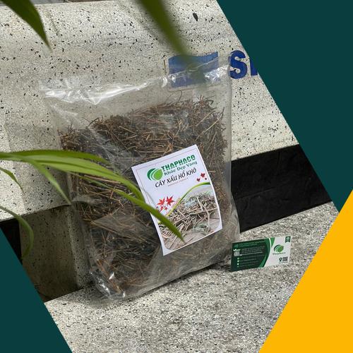 Cách sử dụng cây xấu hổ đúng cách và an toàn