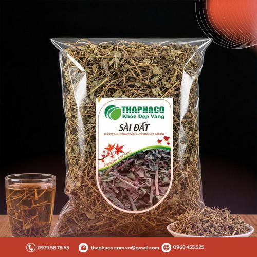 Toàn cảnh cây sài đất mọc tự nhiên