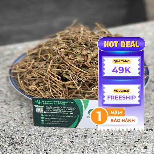 Đặc điểm lá và hoa cây sài đất